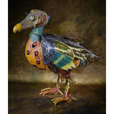 oltre l'immaginario Plachesi 3